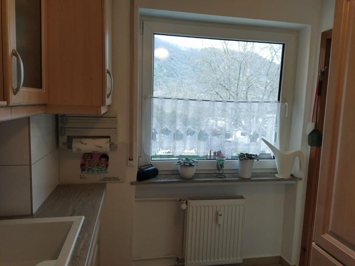 Sankt Goar Eg, Schoen Gelegene Ferienwohnung Dış mekan fotoğraf